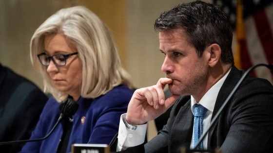 RNC members pushing to expel Cheney and Kinzinger