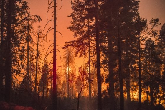 Over 17,000 acres affected by Fire near Yosemite