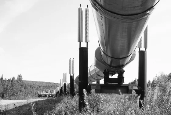 Russia’s request for information on pipeline investigation rejected by Sweden