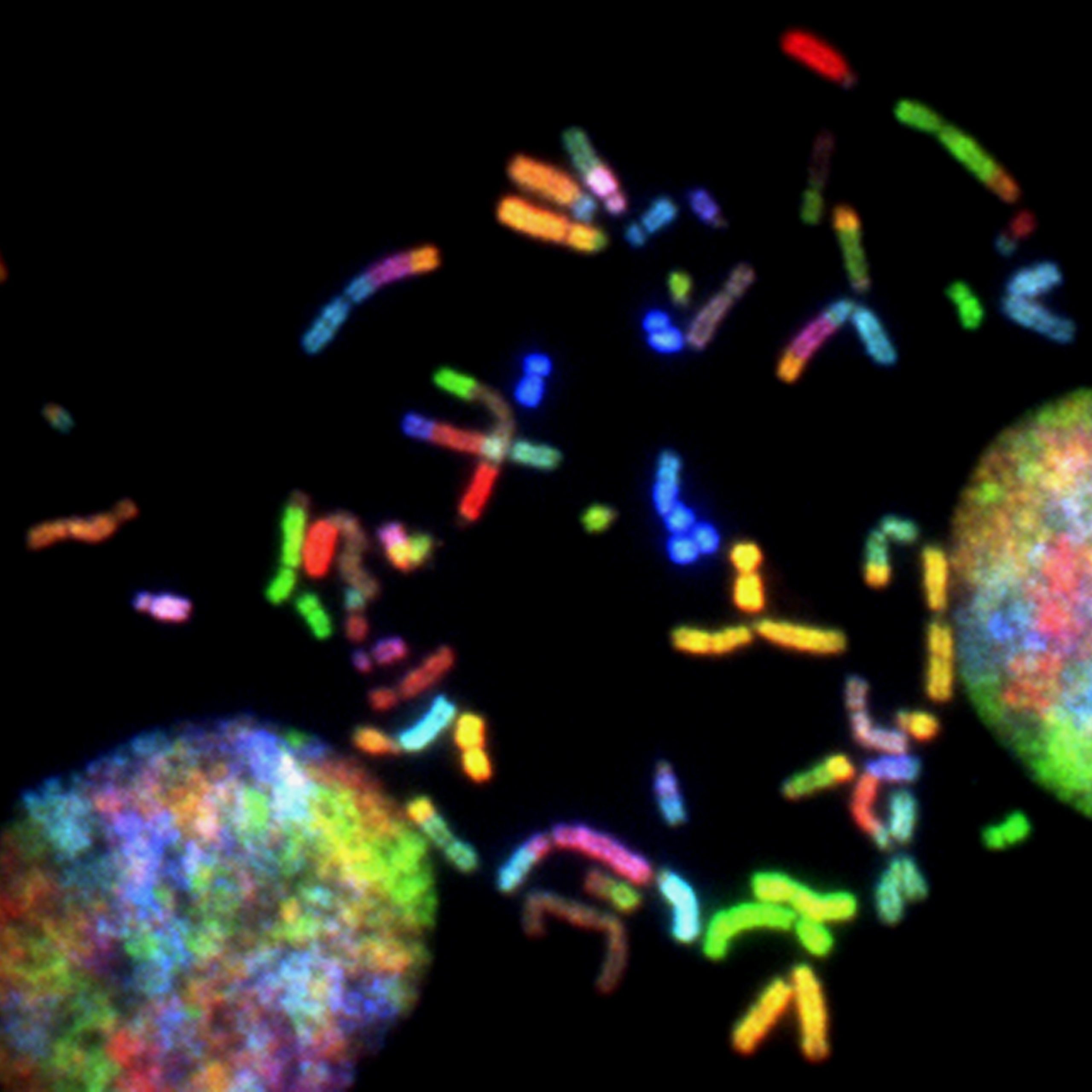 Biobank Gives Access to UK Genetic Data, Transatlantic Today