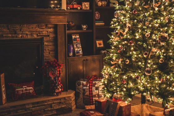 White House Holiday Decor Reveal by Dr. Jill Biden (2022)