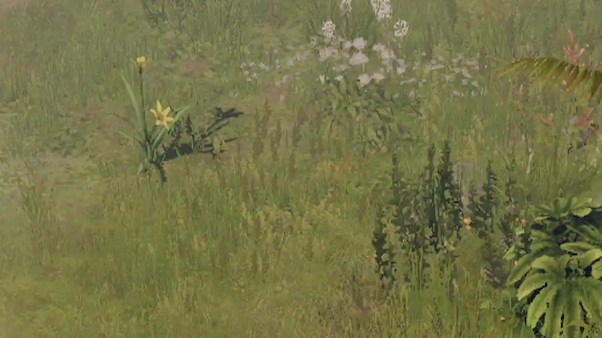 Lost Ark: Best Place to Forage These Flowers, Transatlantic Today