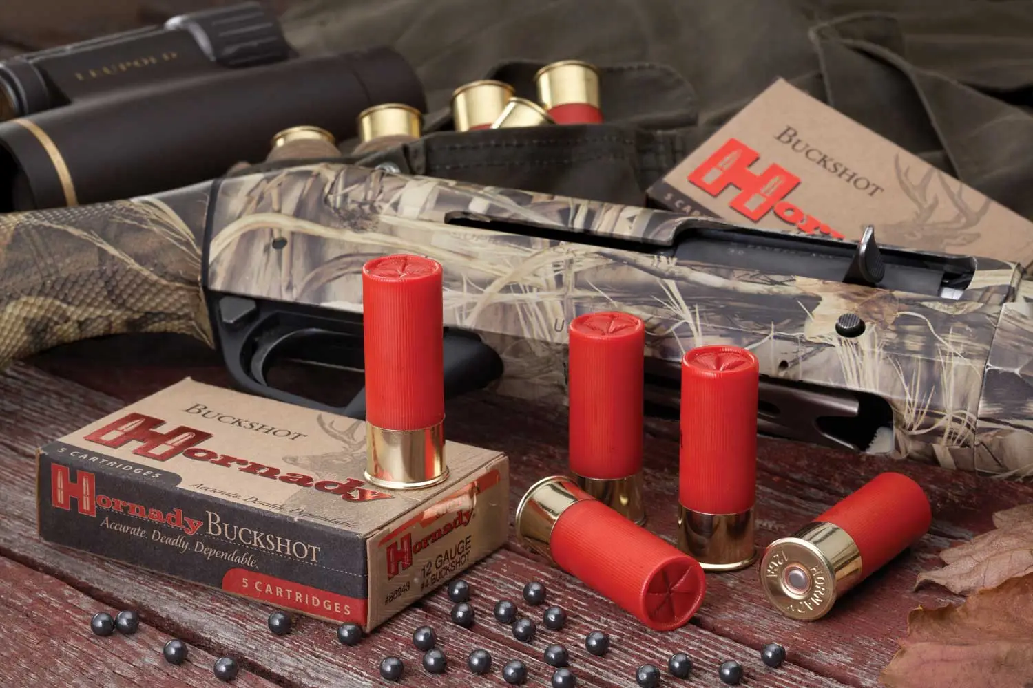 Is Buckshot Illegal? Law Vary From State To State, Transatlantic Today