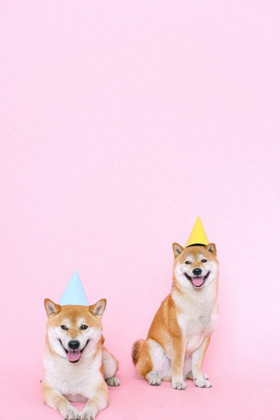 Inside Hachiko — The World’s Most Loyal Dog (Happy 100th Birthday!)