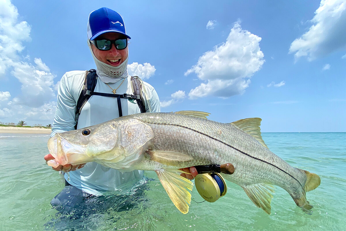 Why Is Snook Illegal? Challenges of Snook Fishing, Transatlantic Today
