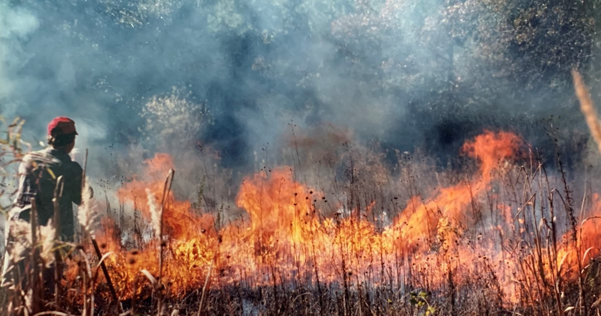 Is It Illegal To Burn Trash In Texas