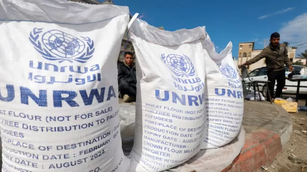 Germany Announces Resumption of Cooperation and Funding for UNRWA in Gaza