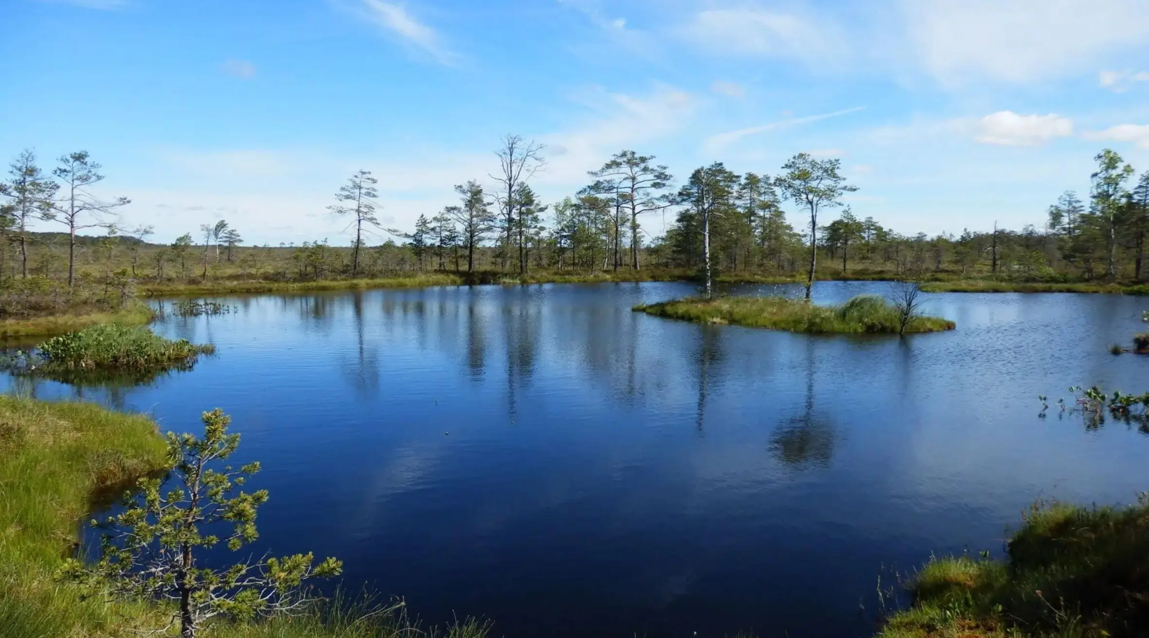 EU Urged to Act Swiftly on Nature Restoration Law